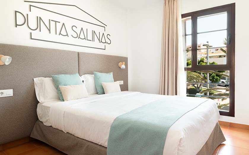 Apartamentos la Cebada